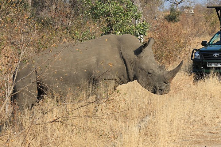 3 Day All Incl. Private Kruger Park Safari Incl. Transfer From Johannesburg - Photo 1 of 4